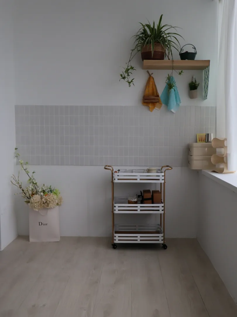 白色小角落與層板植物