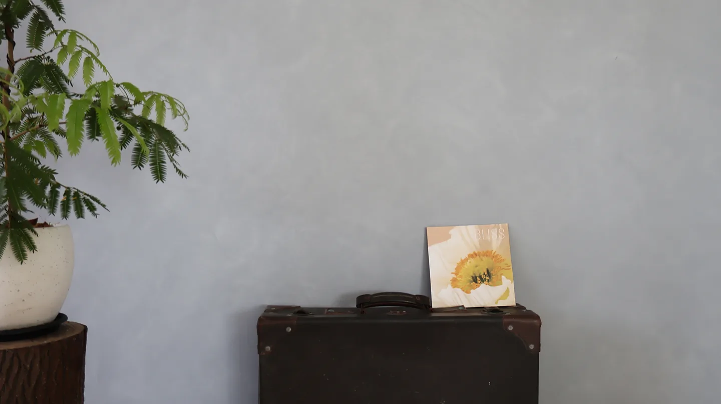 灰牆與復古行李箱